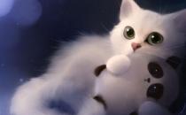 貓糧的選購技巧 給貓咪吃什么最好？