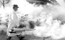 洪災過后如何預防動物疾病？