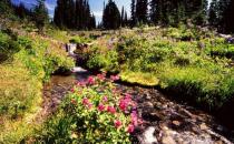 Hiking運動是什么意思？Hiking需要什么裝備？