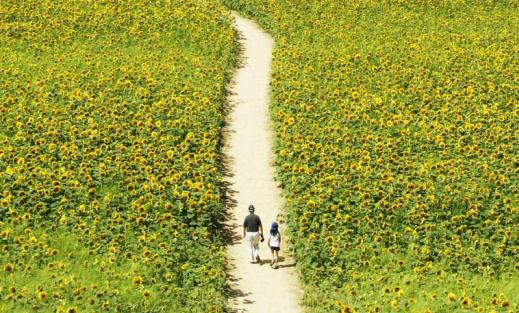 出門旅游睡不好？教你幾招讓你睡好覺