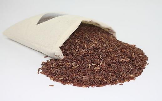 吃這四種食物補氣準沒錯