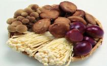 不同的菇類有不同的烹飪方法