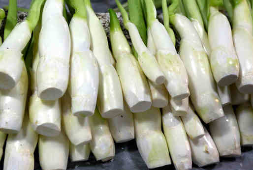 茭白的營養(yǎng)價值與飲食禁忌介紹