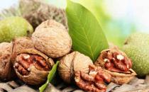 核桃不能與那些東西同吃