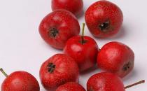 孕期絕不能吃15類食物