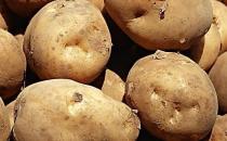 結石病人不能吃哪些食物？