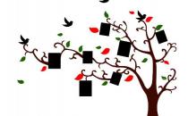 相片墻怎么搭配最合適？