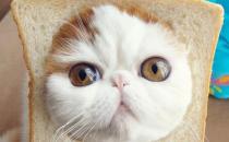 職場女性如何應(yīng)對不平等？