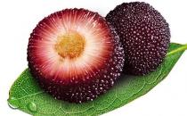 小兒扁桃體發炎吃什么水果