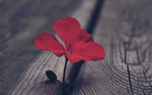 遇到憤怒的事情要如何平復心情？