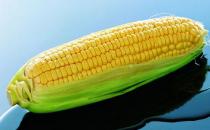 玉米的功效 玉米排骨湯的做法