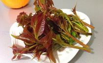 如何挑選香椿芽？香椿芽怎么吃最健康？