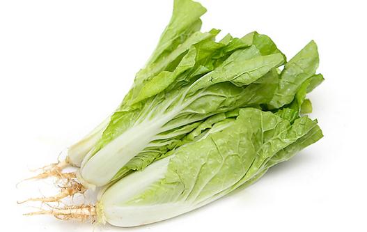 小白菜怎么做？小白菜的簡介