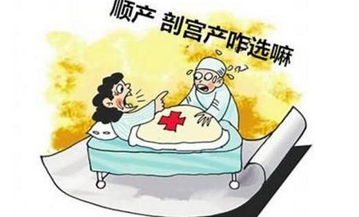 順產讓孩子享受“完美早教”