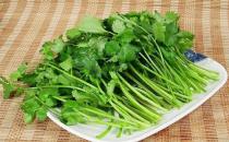 芫荽是什么？芫荽怎么做好吃？