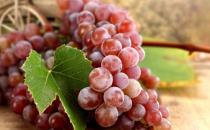 各種葡萄的養生功效