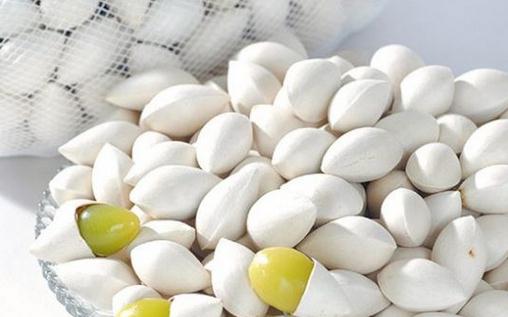 白果可以當零食吃嗎?