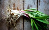 如何吃蔥營養最佳？