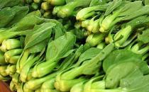 小白菜、大白菜、娃娃菜哪個最有營養(yǎng)？