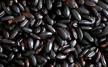 【黑米】_營養價值,功效與作用,怎么吃,做法大全,適用人群,食用禁忌 【黑米】_營養價值,功效與作用,怎么吃,做法大全,適用人群,食用禁忌