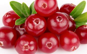 【蔓越莓】_蔓越莓的功效與作用,蔓越莓餅干的做法,蔓越莓怎么吃 【蔓越莓】_蔓越莓的功效與作用,蔓越莓餅干的做法,蔓越莓怎么吃