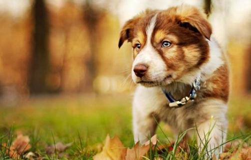 克服緊張性臉紅的方法