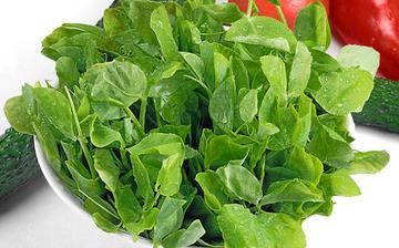 【豆苗】豆苗的營養(yǎng)價值_豆苗怎么做好吃_豆苗的做法大全