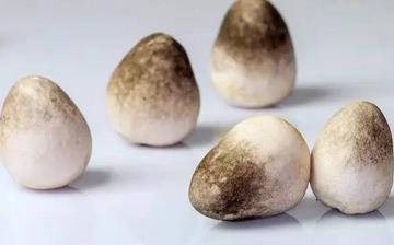 【草菇】草菇的功效與作用營養價值_草菇怎么做好吃_草菇的做法大全