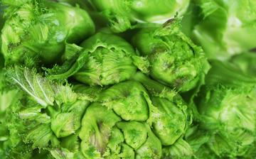 【兒菜】兒菜的功效與作用營養價值_兒菜怎么做好吃_兒菜的做法大全