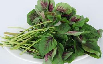 【紅莧菜】紅莧菜的營養價值_紅莧菜怎么做好吃_紅莧菜的做法大全 【紅莧菜】紅莧菜的營養價值_紅莧菜怎么做好吃_紅莧菜的做法大全