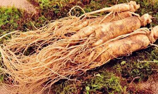 盤點中醫(yī)常用的5種美容藥物