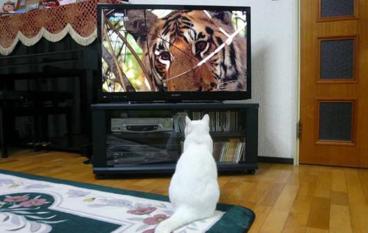 3個(gè)壞習(xí)慣竟比抽煙更致癌？