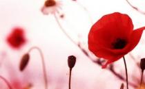 不孕不育的癥狀都有哪些？