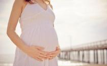 什么是人工受精？人工受精的過程