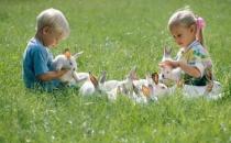 不同氣質寶寶 不同教養策略