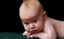 家有寶寶用什么驅蚊方法好