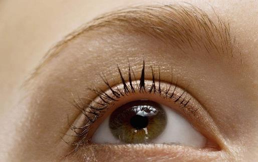 眼睛干澀吃什么食物好