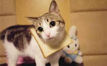 性格太好強(qiáng)容易患高血壓？