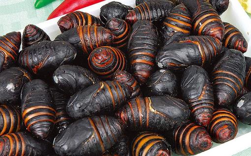 吃什么食物有利于前列腺保養