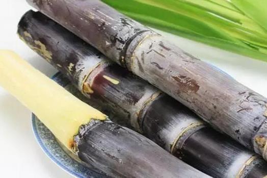 甘蔗的飲食禁忌 霉變甘蔗中毒發病急 紅心甘蔗賽砒霜