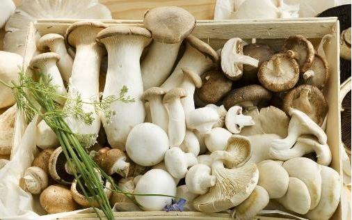 懷孕期間胎兒的大腦發育 最需要這5種營養