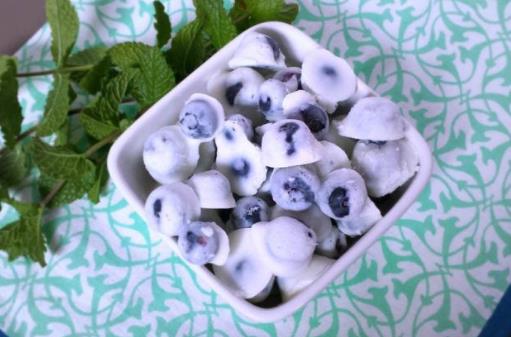 酸奶太單調(diào)不愛喝？教你做酸奶小點心，吃到停不下來