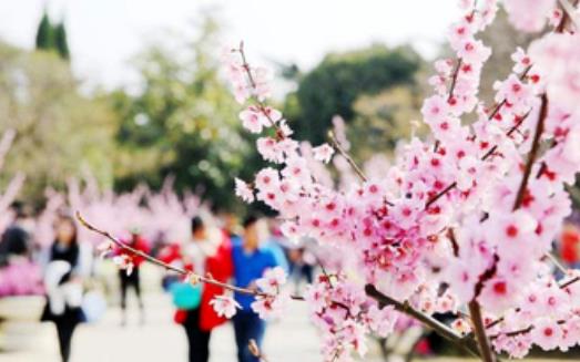 注意!未來3個月是過敏性結膜炎高發期