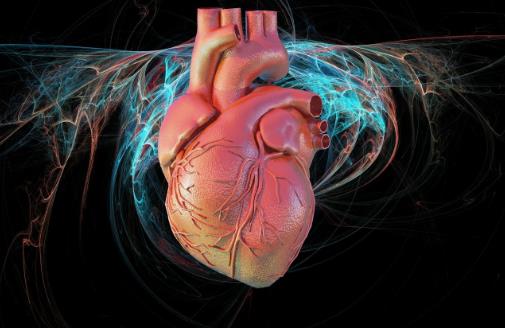 發熱咽痛是心肌炎早期癥狀 預防心肌炎需要適當休息