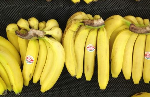 拉肚子時是否能吃雞蛋 預防腹瀉的飲食推薦