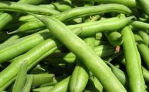 食材養生但也可能傷身 廚房里的10大有毒食物