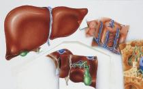 你的受損肝臟不能再喝酒了 自制護肝茶教你護肝養(yǎng)肝