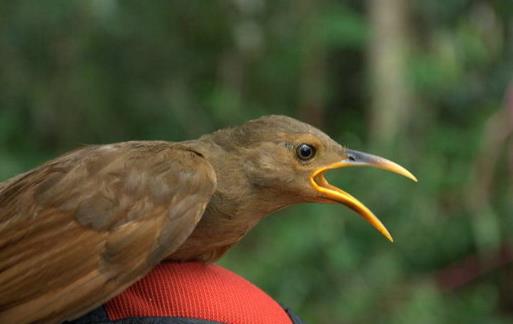 毒藥用途廣泛 世界古今最全毒藥大全 