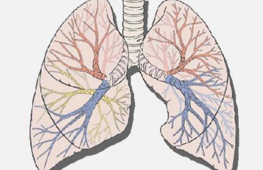 長(zhǎng)壽還是短命來看這9大特征 有3個(gè)以上多半是長(zhǎng)命人
