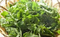 野菜七頭一腦最全攻略 教你野菜做法大全養生又健康